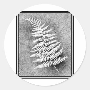 FERN LEAF CLASSIC ROUND STICKER