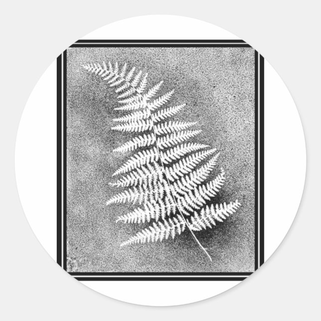 FERN LEAF CLASSIC ROUND STICKER (Front)