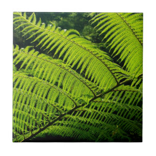 Fern leaf tile