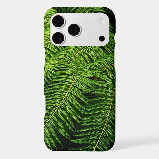 Fern Leaves (Back)