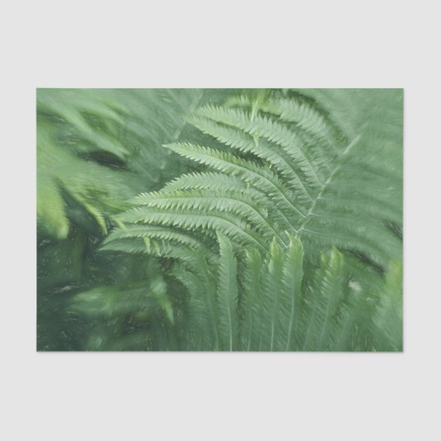 Fern Leaves Botanical Greenery Art Tissue Paper (Front)