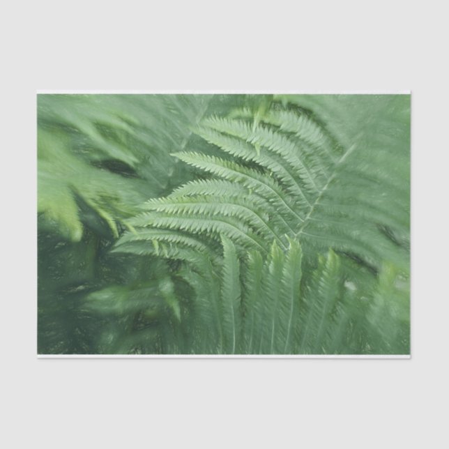 Fern Leaves Botanical Greenery Art Tissue Paper (Front)