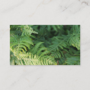 Fern Leaves. Business Card