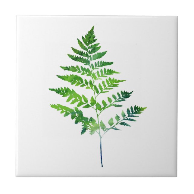 Fern Leaves Ceramic Tile (Front)