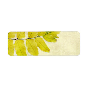 Fern leaves grunge design return address label