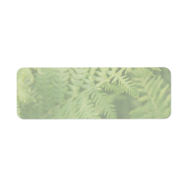Fern Leaves, Light Green. Return Address Label (Front)