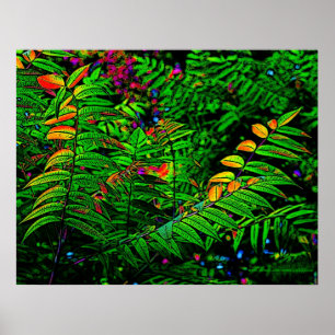 Fern Leaves Print