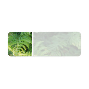Fern Leaves. Return Address Label
