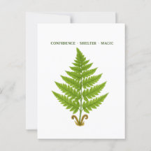 Fern Meaning