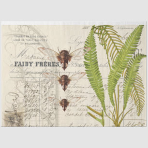 Fern Moth Apothecary Decoupage Tissue Paper