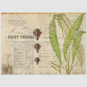 Fern Moth Apothecary Decoupage Tissue Paper