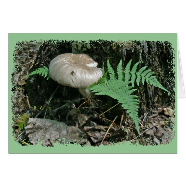 Fern & Mushroom at Stump Coordinating Items (Front Horizontal)