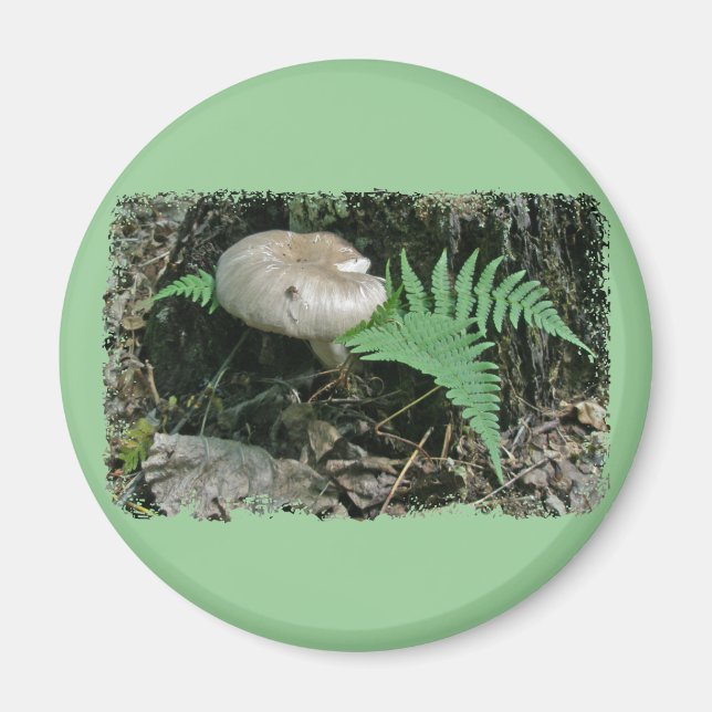 Fern & Mushroom at Stump Coordinating Items Magnet (Front)