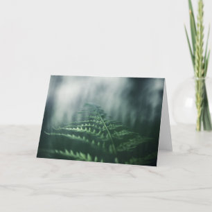 Fern Nature Photo Card