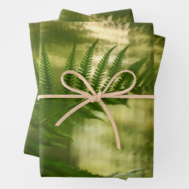 Fern Nature Photo Wrapping Paper Sheet (In situ)