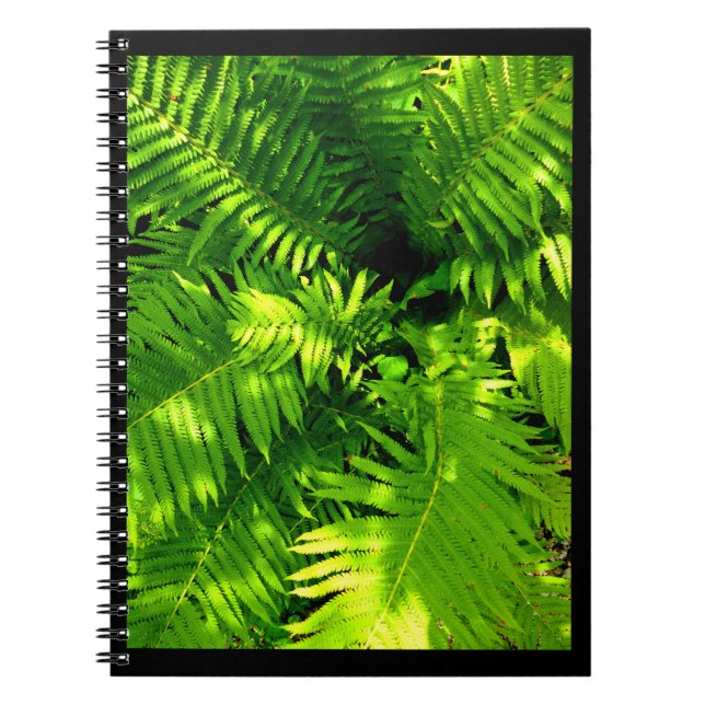 Fern Notebook (Front)
