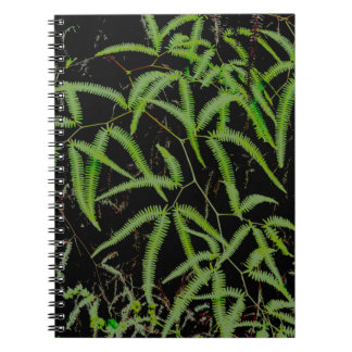 Fern Notebook