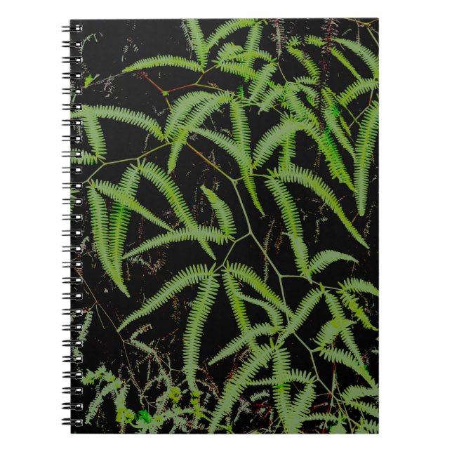 Fern Notebook (Front)