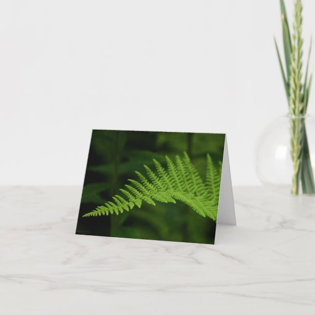 Fern P6597 Card (Front)