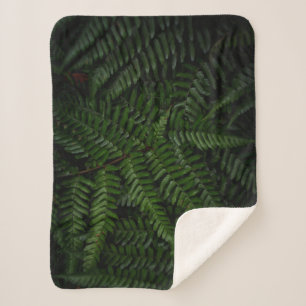 Fern plant sherpa blanket
