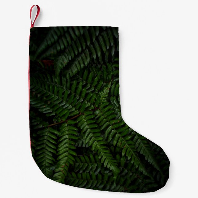 Fern plant small christmas stocking (Front)