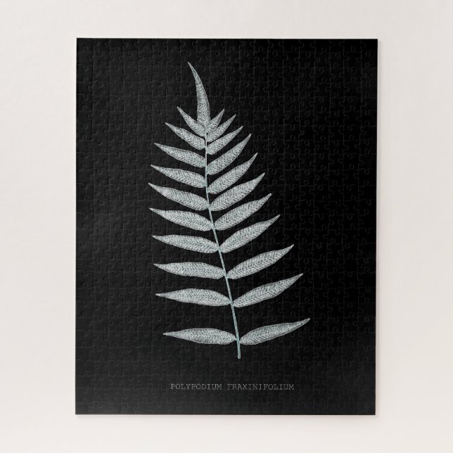 Fern - Polypodyum Fraxinifolium - X-ray effect -08 Jigsaw Puzzle (Vertical)