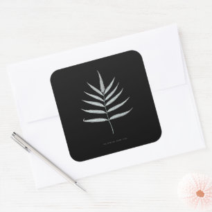Fern - Polypodyum Grandidens - X-ray effect - 10 Square Sticker