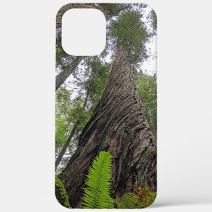 Fern Reaching To Sky Along Redwood's Swirled Bark iPhone 12 Pro Max Case