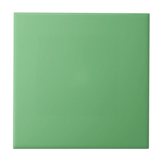 Fern Solid Colour | Classic | Elegant Ceramic Tile (Front)