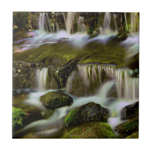 Fern Spring, Yosemite National Park, California Ceramic Tile