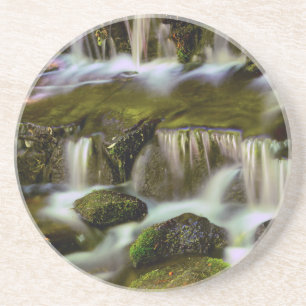 Fern Spring, Yosemite National Park, California Coaster
