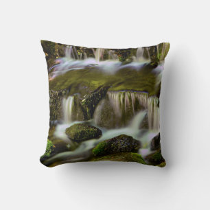 Fern Spring, Yosemite National Park, California Cushion