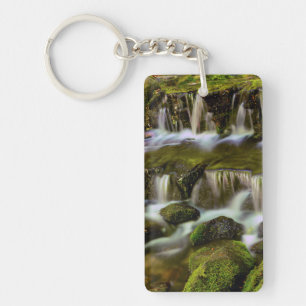 Fern Spring, Yosemite National Park, California Key Ring
