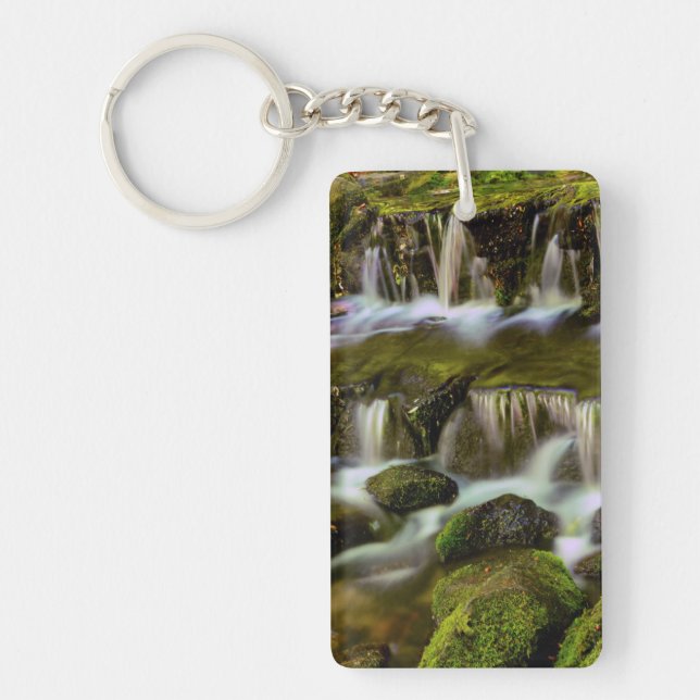 Fern Spring, Yosemite National Park, California Key Ring (Front)