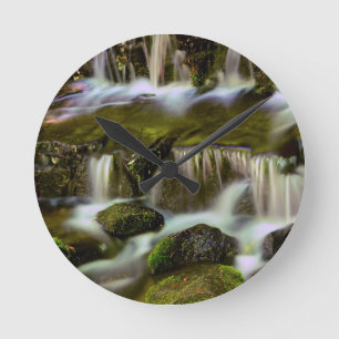 Fern Spring, Yosemite National Park, California Round Clock