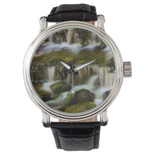 Fern Spring, Yosemite National Park, California Watch