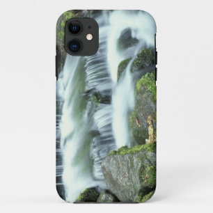 Fern Spring, Yosemite National Park iPhone 11 Case
