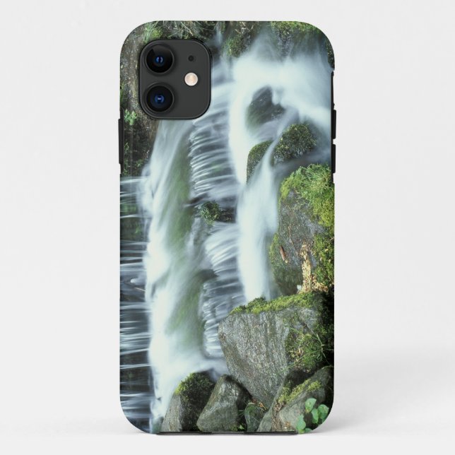 Fern Spring, Yosemite National Park Case-Mate iPhone Case (Back)