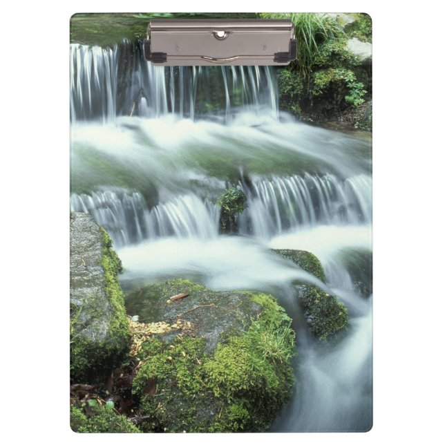 Fern Spring, Yosemite National Park Clipboard (Front)