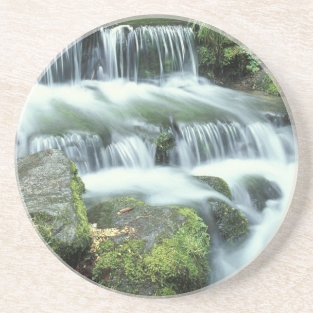 Fern Spring, Yosemite National Park Coaster (Front)