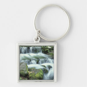 Fern Spring, Yosemite National Park Key Ring