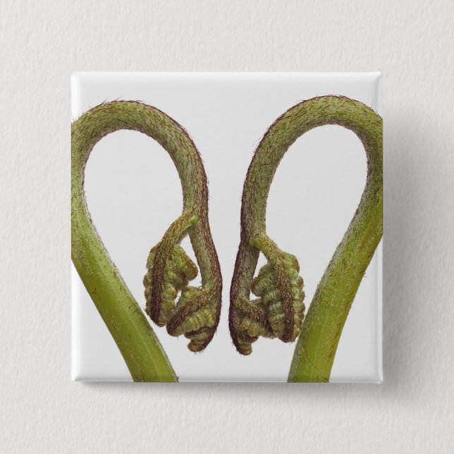 Fern sprouts 2 15 cm square badge (Front)