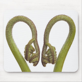 Fern sprouts 2 mouse pad