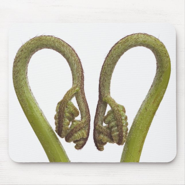 Fern sprouts 2 mouse pad (Front)