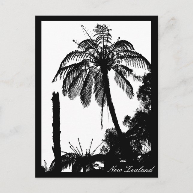 Fern Tree Forest, Silver Fern, nature New Zealand Postcard (Front)