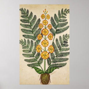 Fern with yellow flowers poster