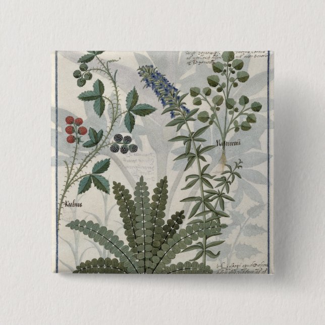 Ferns, Brambles and Flowers 15 Cm Square Badge (Front)
