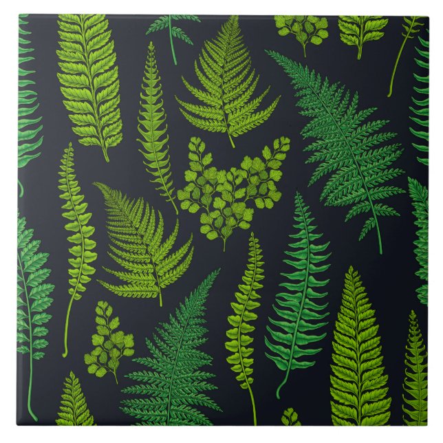 Ferns Ceramic Tile (Front)