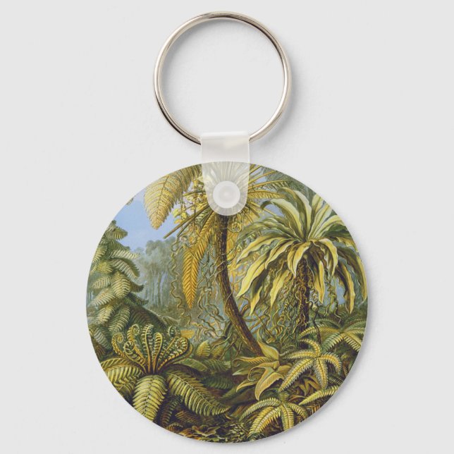 Ferns Ernst Haeckel Fine Art Key Ring (Front)