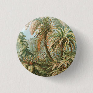 Ferns, Filicinae Laubfarne by Ernst Haeckel 3 Cm Round Badge